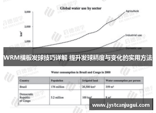 WRM横板发球技巧详解 提升发球精度与变化的实用方法